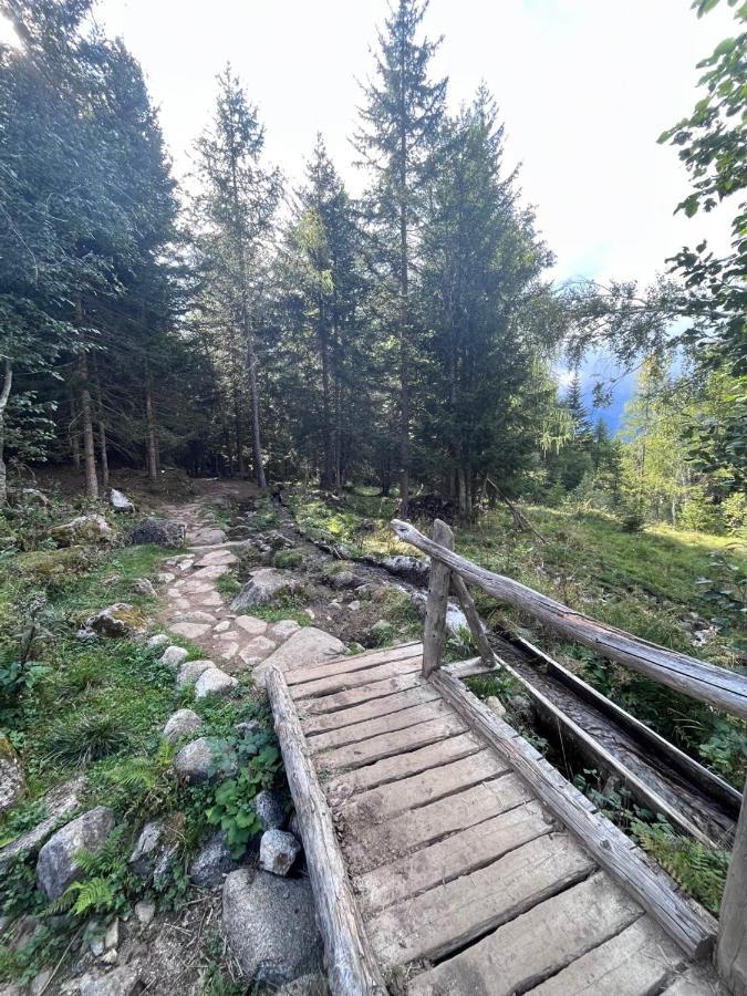 Appartamento Rifugetto Marilleva Esterno foto