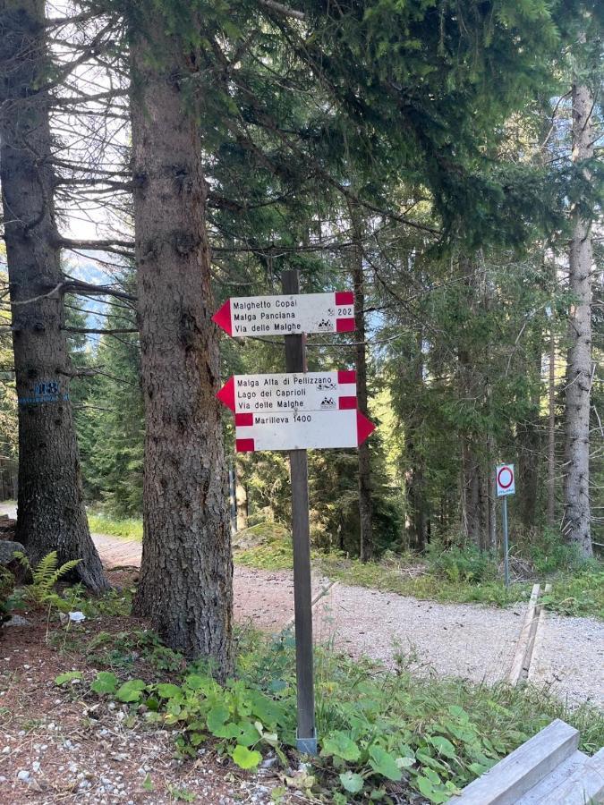 Appartamento Rifugetto Marilleva Esterno foto